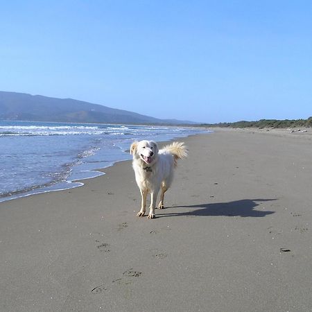 Agriturismo Grazia Orbetello Zewnętrze zdjęcie
