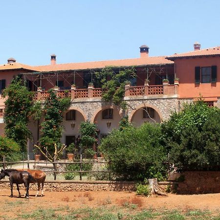 Agriturismo Grazia Orbetello Zewnętrze zdjęcie