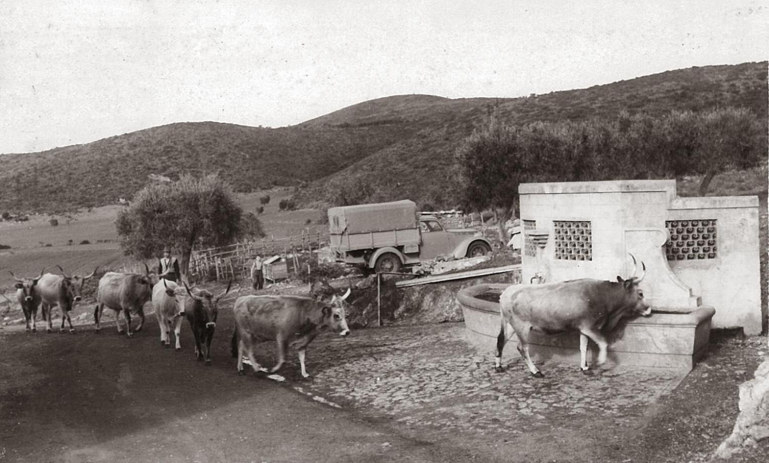 Agriturismo Grazia Orbetello Zewnętrze zdjęcie