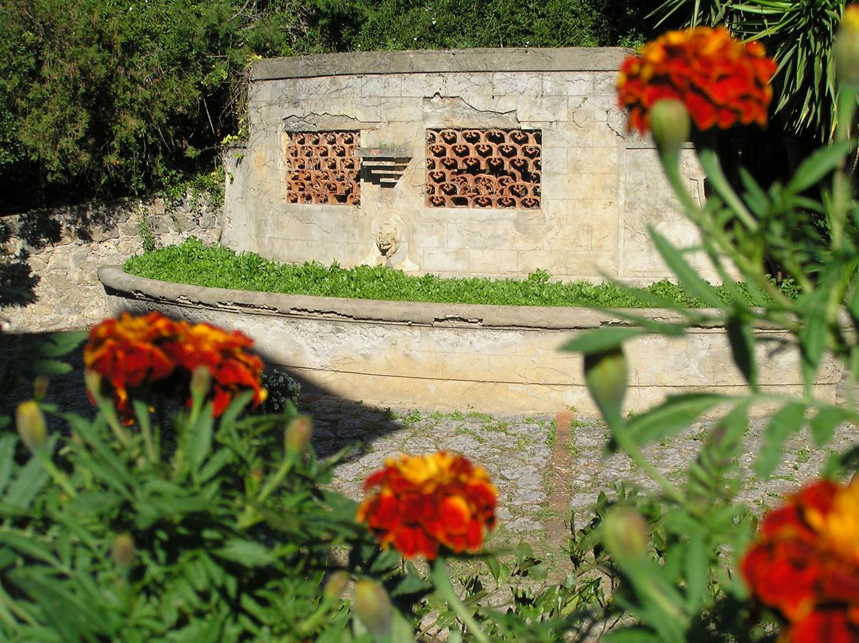 Agriturismo Grazia Orbetello Zewnętrze zdjęcie