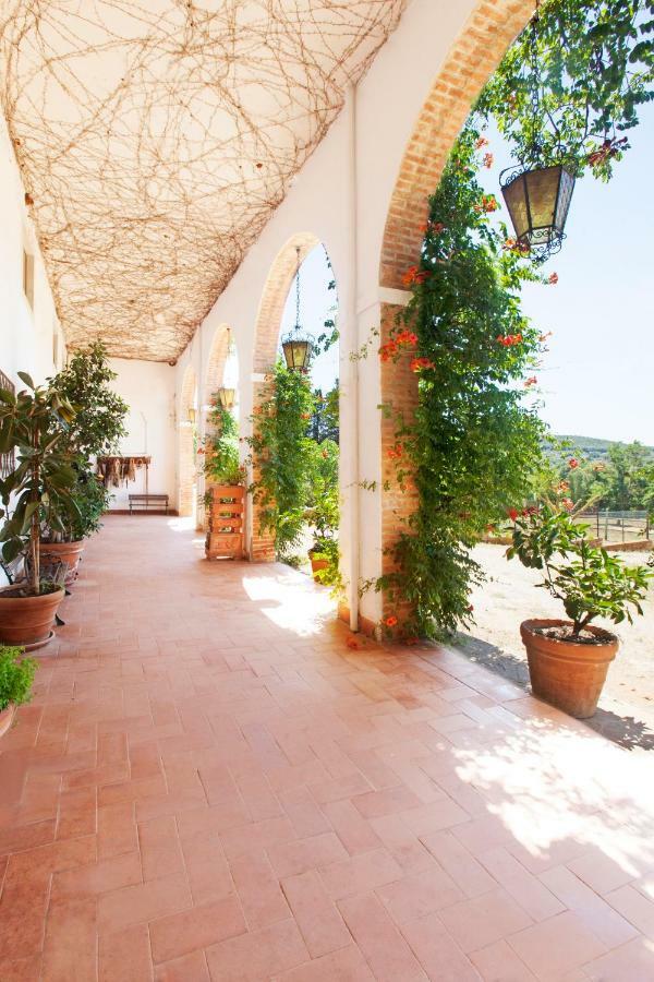 Agriturismo Grazia Orbetello Zewnętrze zdjęcie